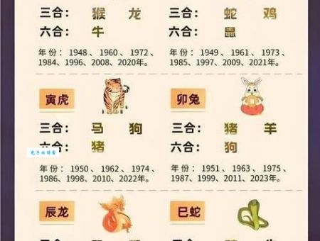 上行下效打一准确生肖结果揭晓，看看你猜对这个动物了吗？