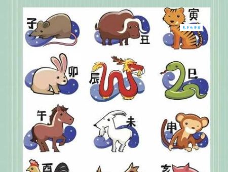 龙虎争霸猜一动物怎么理解？带你分析生肖中的文化内涵