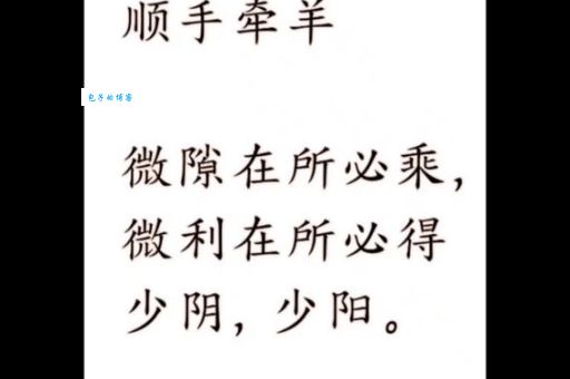 顺手牵羊最佳精准生肖是什么？揭秘这个生肖的特点！