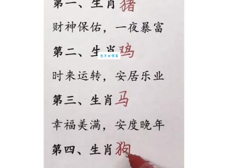 满面红光打一生肖答案揭晓，原来是这个充满活力的生肖！