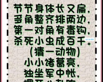 谜语故作姿态打一动物是什么？这几个生肖的可能性非常大