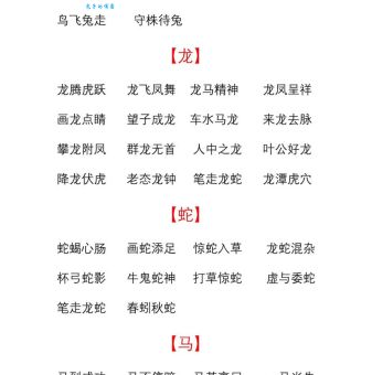 想知道酣畅淋漓是什么生肖？这篇解析文章帮你找答案