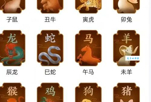 猜猜见多识广是什么生肖？带你从不同角度解读生肖文化