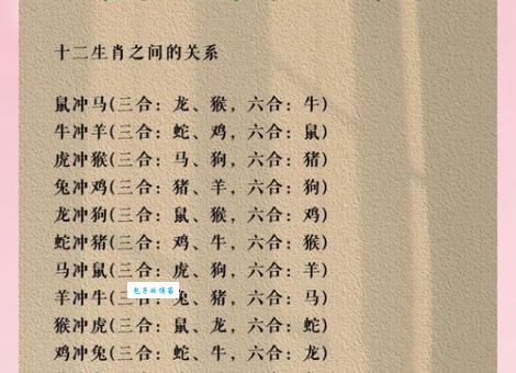 正人君子打一最佳生肖怎么猜？这几个生肖最符合君子形象！