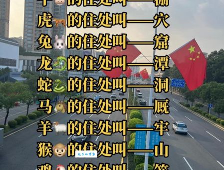 欲钱看半两棉花指打猜什么生肖?教你从谜面快速猜生肖!