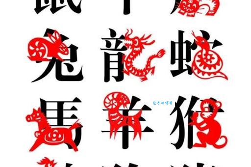 苟延残喘打一最佳动物哪个最贴切？带你了解具体的生肖！