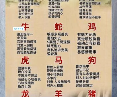 憨态可掬打一动物是什么？揭晓这个生肖的谜底！