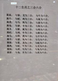 专横跋扈猜生肖怎么猜?这几个生肖的特征非常吻合!