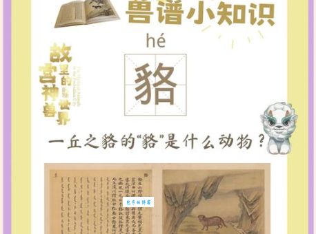 志在四方打一最佳动物是什么？看完这篇分析你就懂了！