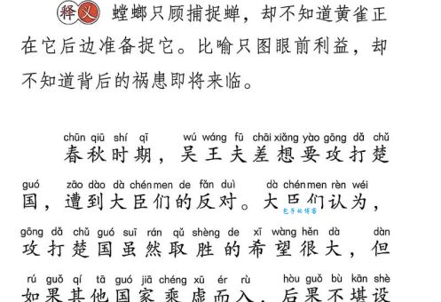 草长莺飞打一最佳动物的答案，看完这篇你就彻底明白了！