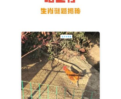 有翅难飞打一最佳生肖怎么猜？带你了解生肖背后的典故！