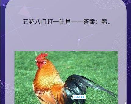 杀一儆百打一准确生肖推荐，学会这一招帮你分析得更准确！