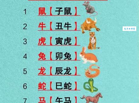 波涛汹涌是什么生肖的代称？详细分析生肖的各种解释
