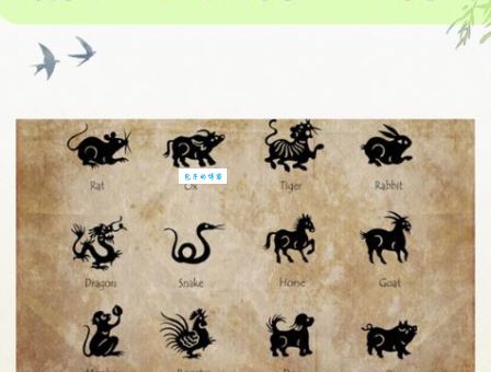 飞针走线打一动物是什么生肖?看完解释你就懂了!