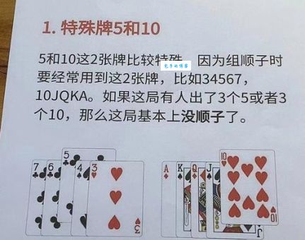 如何理解方寸不乱最佳准确一肖？资深玩家教你两招提高胜率！