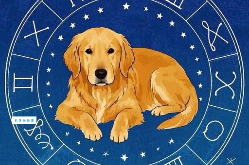 狗窦大开是指什么生肖？带你揭晓生肖背后的谜底！