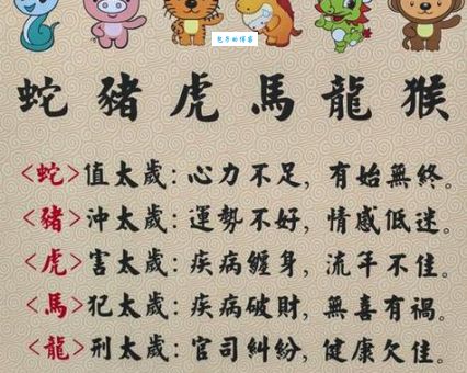 独木难支是什么生肖？资深玩家为你解析其中的奥秘！