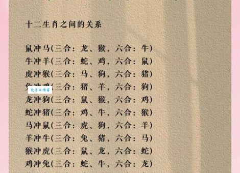 出奇入神柳与花指哪个生肖？专家为你揭秘这个生肖的奥秘