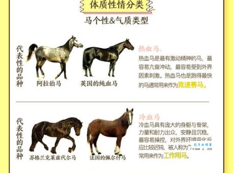 指鹿为马打一正确动物怎么猜？这几个思路帮你快速通关！