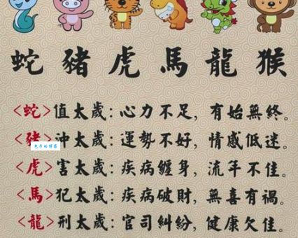 神采奕奕指哪个生肖?从生肖解析中寻找准确答案!