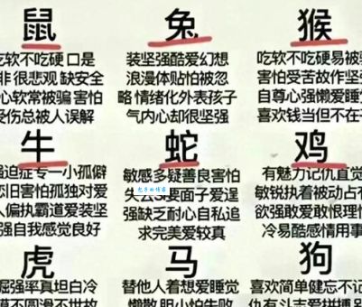 背信弃义打一生肖是什么？这个生肖的解释很精彩！