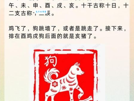 鸡口牛后打一正确生肖属相？老玩家告诉你其中的奥秘！