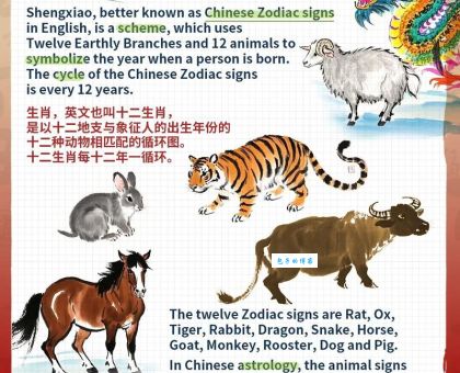 举世无比是什么生肖？为你解析这个词代表的生肖！