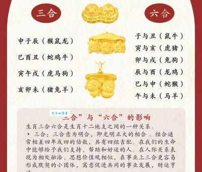 挖地三尺打一准确生肖详解，这几个生肖非常有代入感！