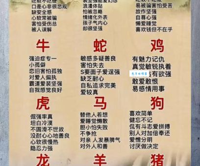 步步为营三大生肖实力解析！不仅聪明而且特别稳重