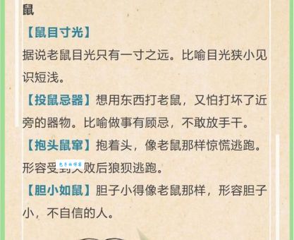 英勇善战打一最佳生肖是什么？快来看看你猜对了吗？