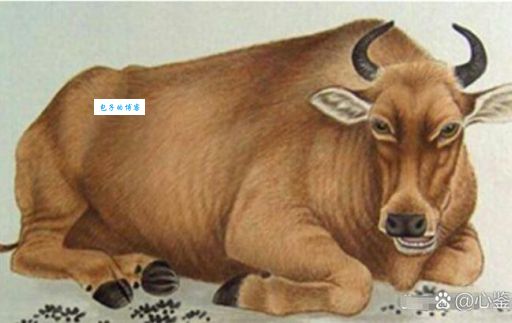 地主代表什么生肖？这三个生肖最符合地主的形象！