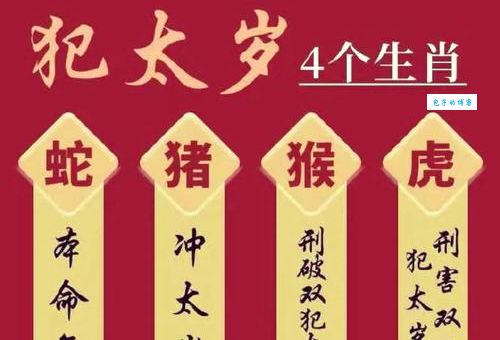 三九严寒打一准确生肖是什么？揭晓正确答案与生肖缘由