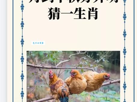 猜猜黄卷青灯打一正确生肖，背后的寓意你知道吗？