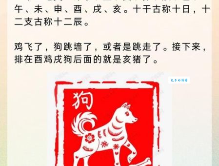 白手空拳是什么生肖打一最佳准确生肖？深度解析谜面背后的生肖