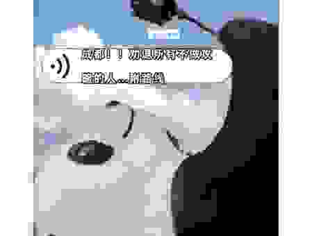 搞懂迪纳摩是什么意思？球迷圈里的那些事儿！