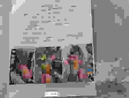 龙口旮旯网有什么新鲜事？本地热点都在这里看！