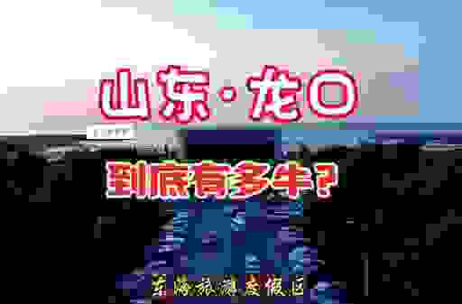 龙口旮旯网有什么新鲜事？本地热点都在这里看！