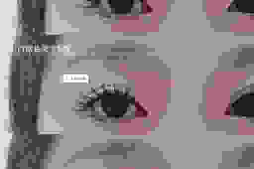 飞箭睫毛膏真的好用吗？新手也能轻松画出太阳花美睫