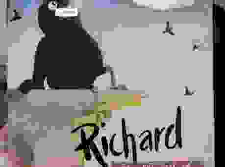 乌鸦为什么是黑的这个秘密，你肯定不知道的答案！