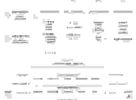 topnetwork最新发展趋势和未来前景深度解析