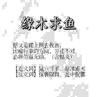 想用木头鱼在线翻译？这几个使用技巧帮你事半功倍