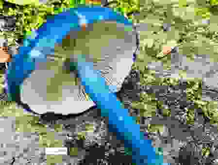 每次想哭就说蓝瘦香菇，这真的有效吗？