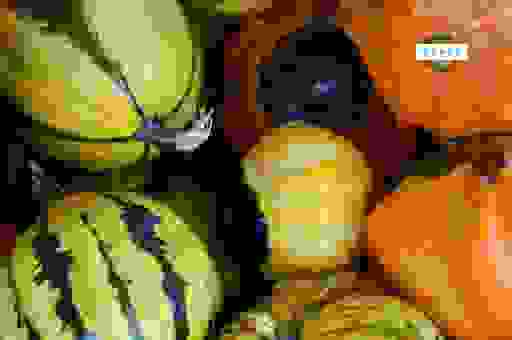 什么是北瓜一般指什么瓜？看完你就明白了这些知识