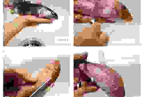 新鲜刺棱怎么清洗和处理？教你简单几步不费力气！