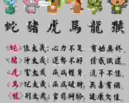 铜筋铁骨指的生肖是哪个？了解生肖特性的秘密全在这里