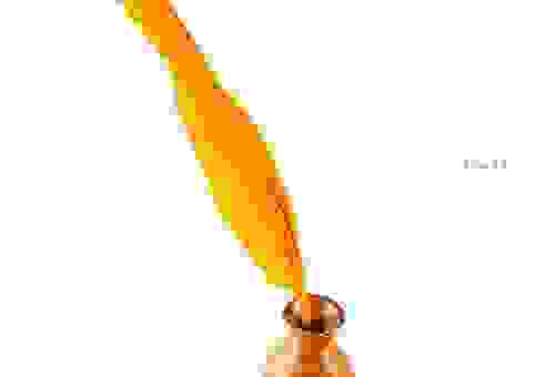 为什么我的鹅毛笔百度影音看不了？可能是这个原因