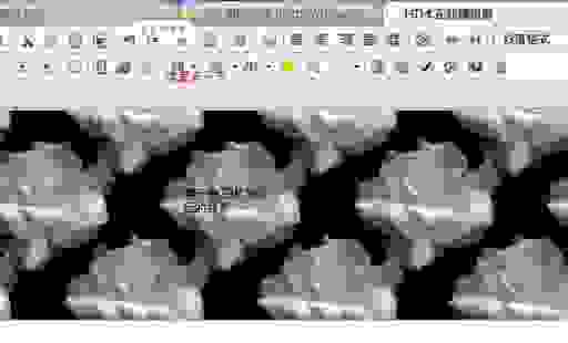 蜘蛛日志分析怎么看?新手也能快速掌握技巧!