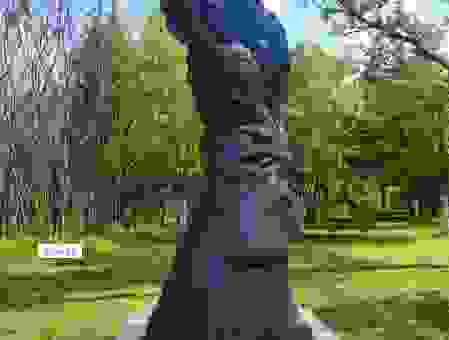 长春雕塑公园门票最新政策发布 现在去需要注意啥