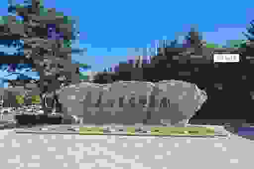 长春雕塑公园门票最新政策发布 现在去需要注意啥