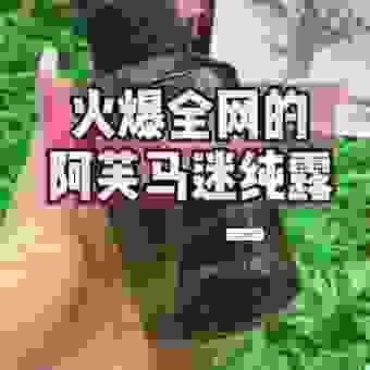 想学SEO去SEO88论坛怎么样？老用户分享真实感受！